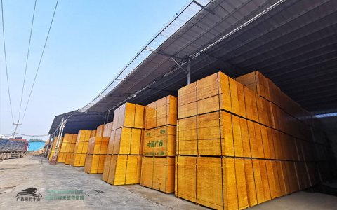 木模板市場價(jià)多少錢一張?建筑木模板市場推薦